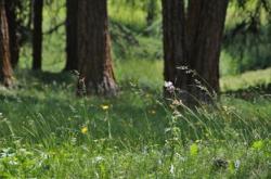 家庭教育对初中生成长的深远影响