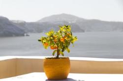 点亮心灵之光，教育故事中的感悟