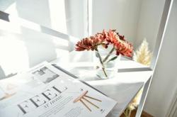 教育期刊，国家级刊物的界定与价值