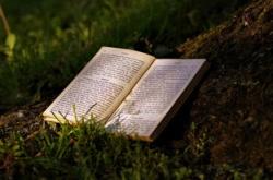 点亮心灵之灯,我的教育故事报道