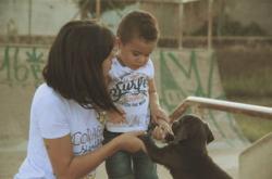 用爱和智慧陪伴孩子成长—培训心得