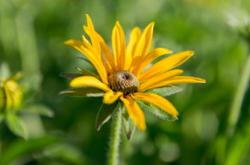 触动心灵的瞬间,摄影的力量与情感表达