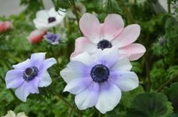 温暖人心,触动心灵的暖心短句