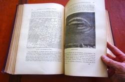 孔子的教育智慧,心得体会与现代启示