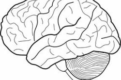 心理健康,手抄报中的教育力量