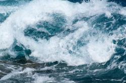 Exploring the Core Elements of Educational Philosophy