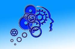 幼儿园心理健康教育案例分析与实践