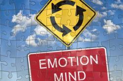 教育成长感悟,智慧与情感的交融