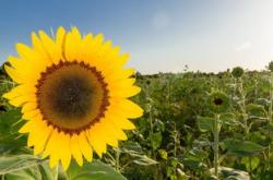 小学时光,成长的足迹