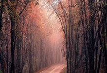 探索抑郁自愈,中成药在心理调适中的辅助作用