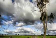 老年人抑郁的自我疗愈之道,积极心态与健康生活方式