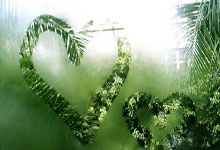 托管教育,培养未来领袖的经典语录