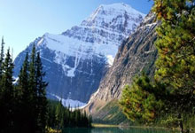 素质教育理念,培养全面发展的人才