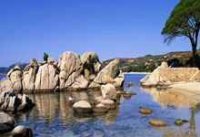 Growth and Education:The Intertwined Journey of Learning and Development