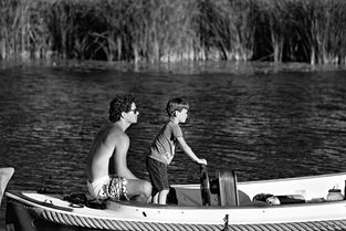 教育的力量,父母受教育经历的启示 教育的力量,父母受教育经历的启示