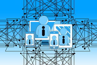 构建教育信息交流平台，促进教育公平与创新