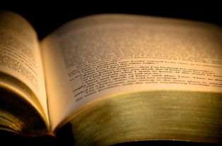 教育格言成语,智慧的箴言,教育的灯塔 教育格言成语,智慧的箴言,教育的灯塔