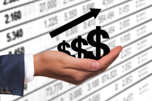 尊重,教育中不可或缺的一课 尊重,教育中不可或缺的一课