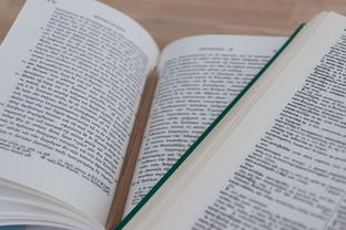 构建和谐师生关系,教育理念中的桥梁 构建和谐师生关系,教育理念中的桥梁