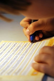 构建学生心理健康的坚实堡垒,辅导记录的重要性 构建学生心理健康的坚实堡垒,辅导记录的重要性