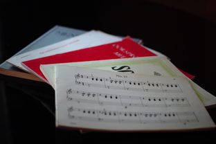 倾听成长的声音,学生成长谈话记录的重要性与实践 倾听成长的声音,学生成长谈话记录的重要性与实践